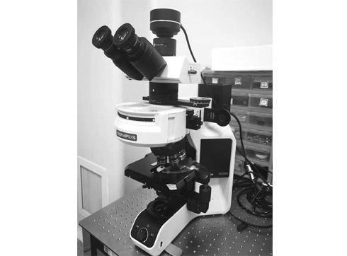 可见光近红外偏光显微镜